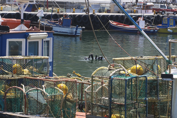 Kalk Bay Hafen, Kapstadt